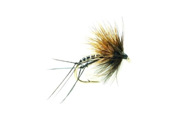 BLACK HALF HOG