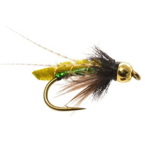 Caddis Poppah Olive